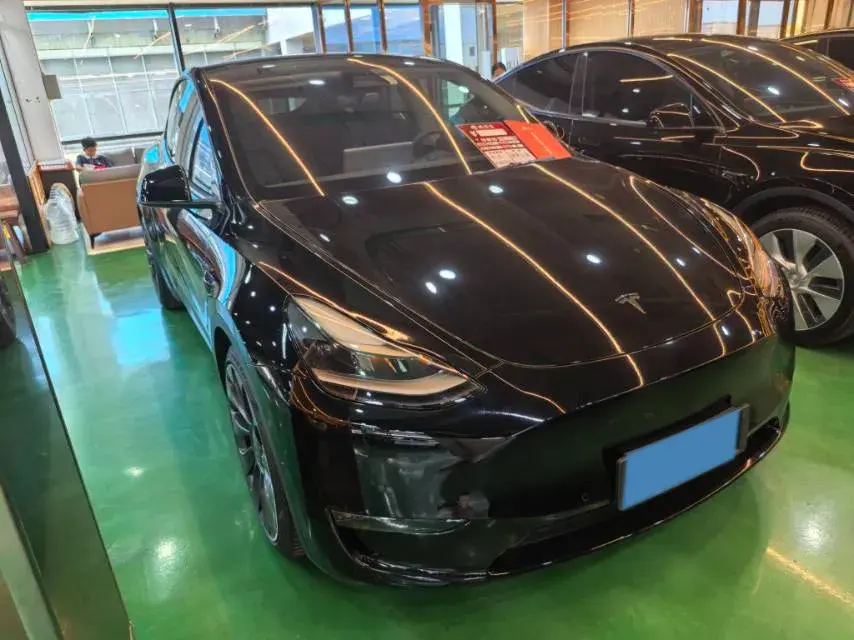 2021 TESLA MODEL thumbnail 3