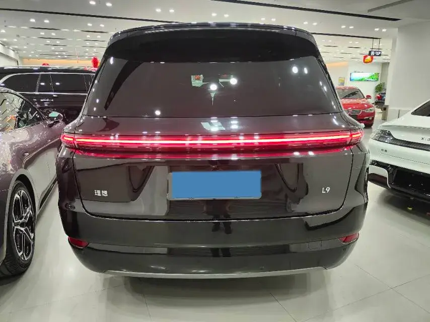 2022 LI L9 thumbnail 4