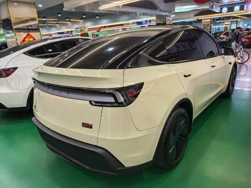 2025 TESLA MODEL thumbnail 4