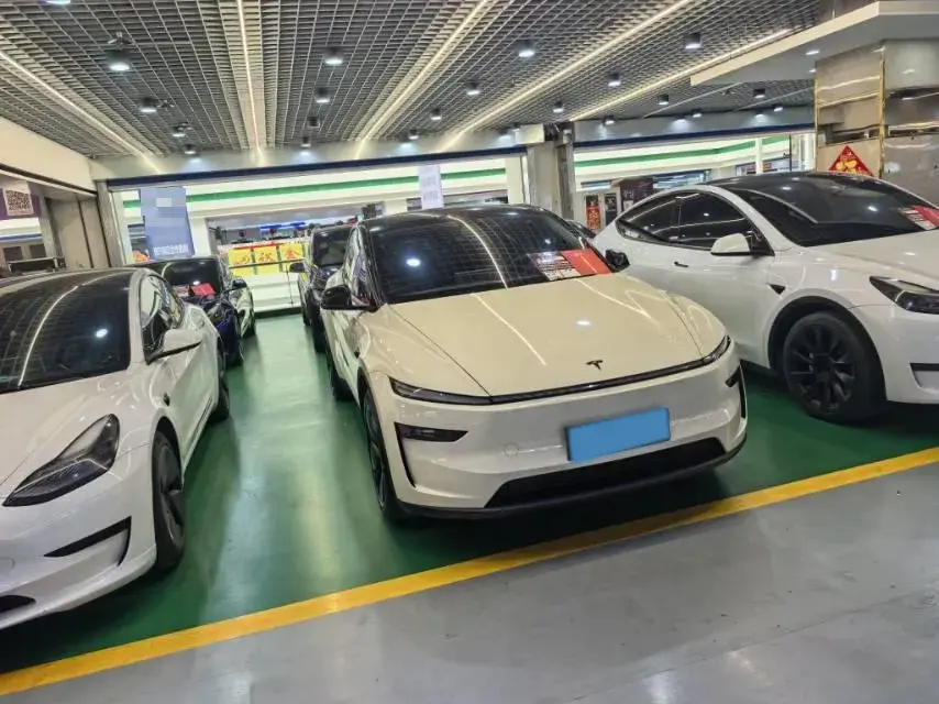 2025 TESLA MODEL thumbnail 3