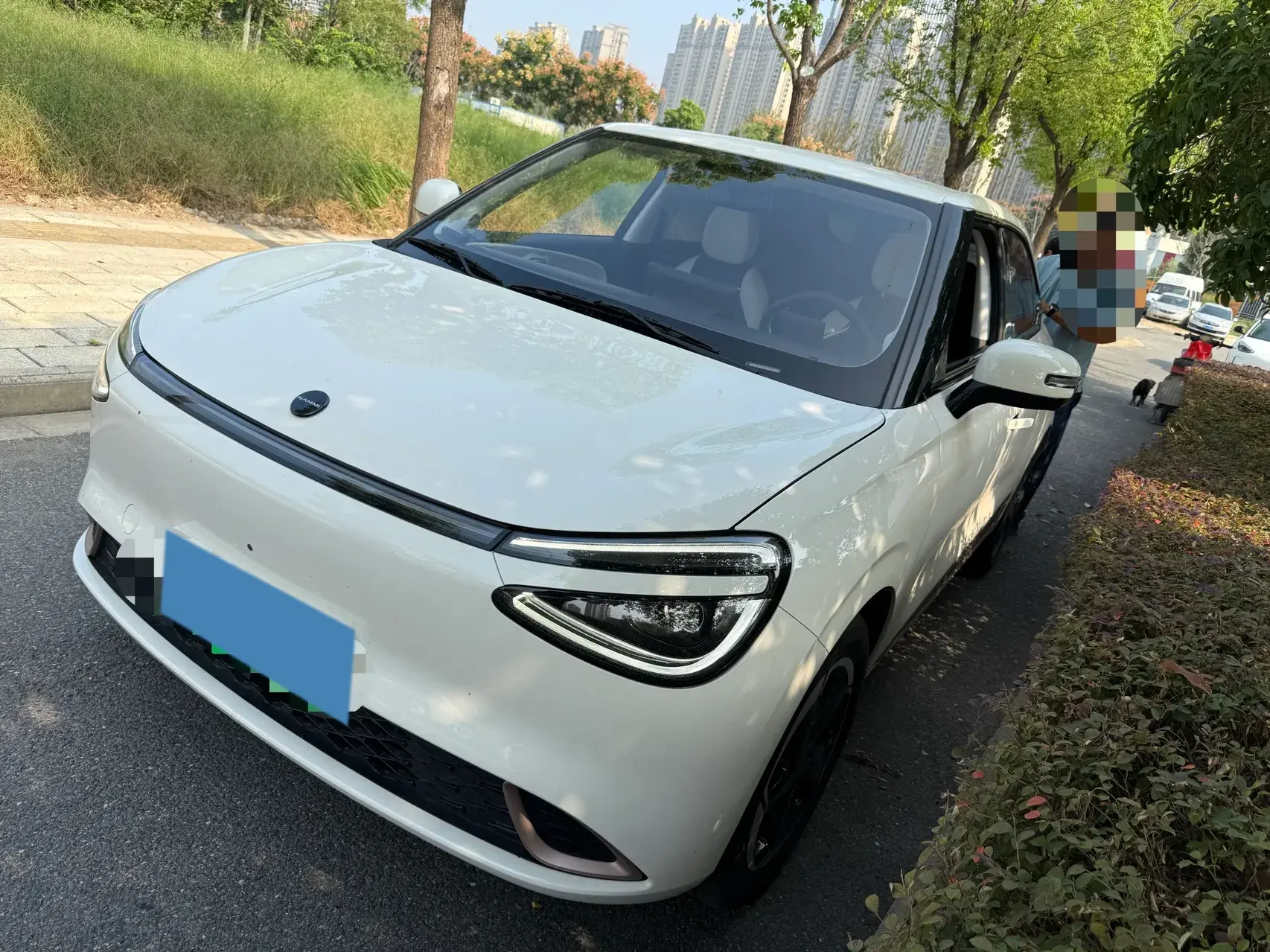 2024 DONGFENG NAMMI view 1