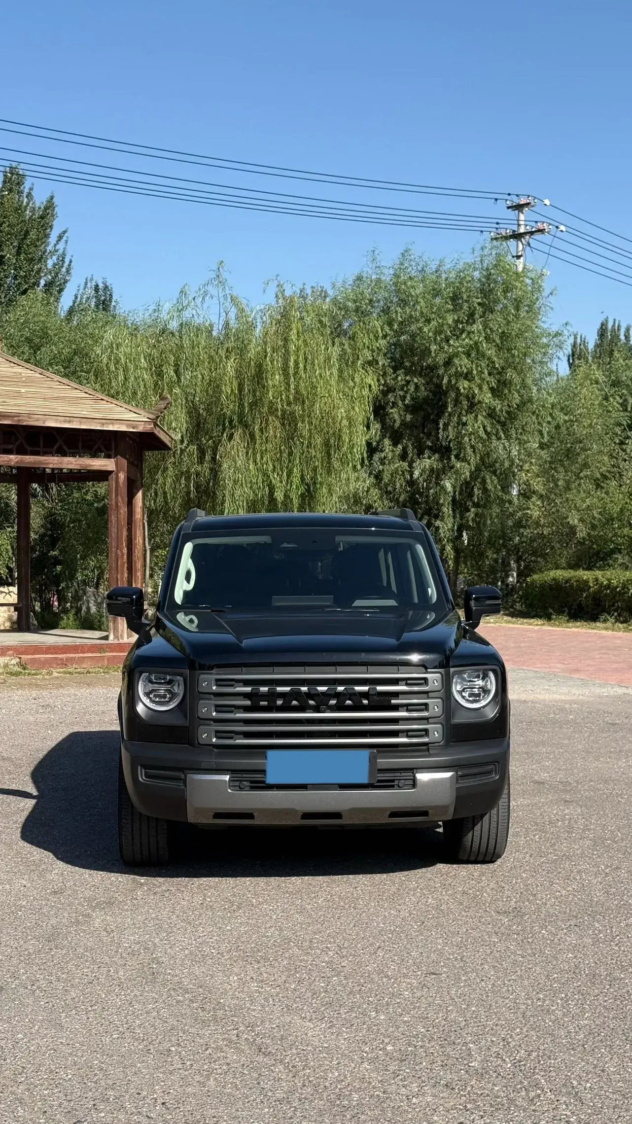 2024 HAVAL RAPTOR thumbnail 3