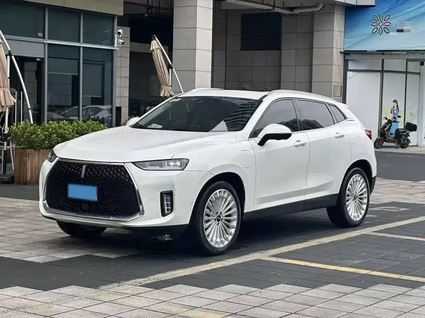 2018 WEY P8 2.0T 234HP L4 6DCT PHEV 12.96KWH
