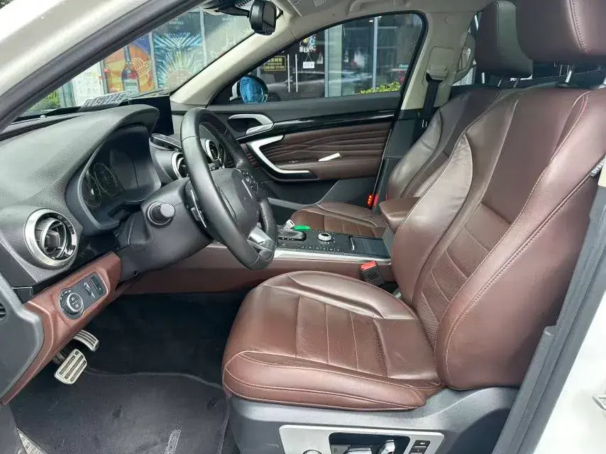 2018 WEY P8 thumbnail 3