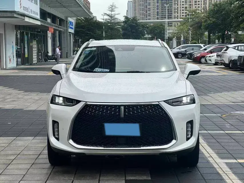 2018 WEY P8 thumbnail 2