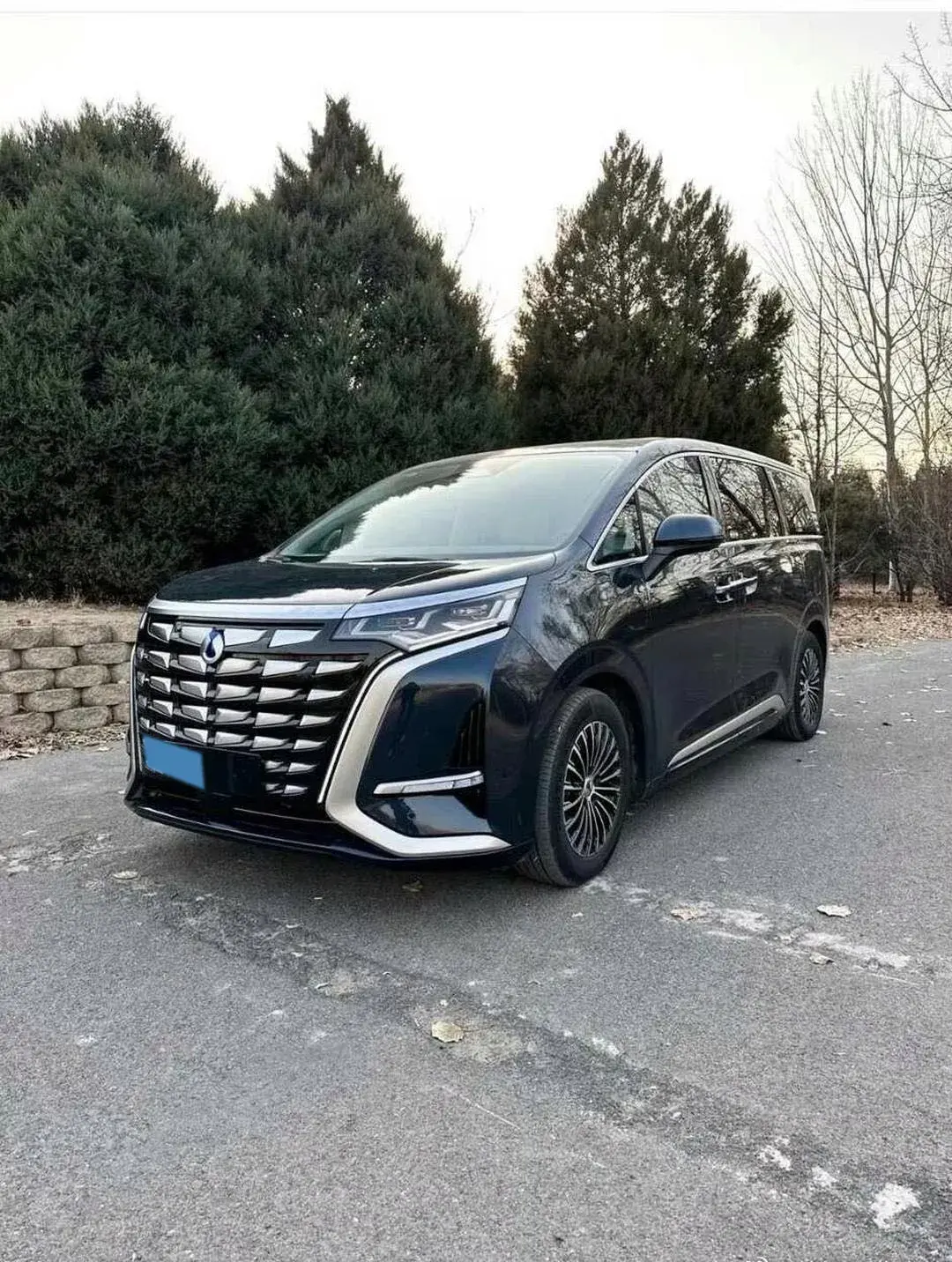 2022 DENZA D9 view 1