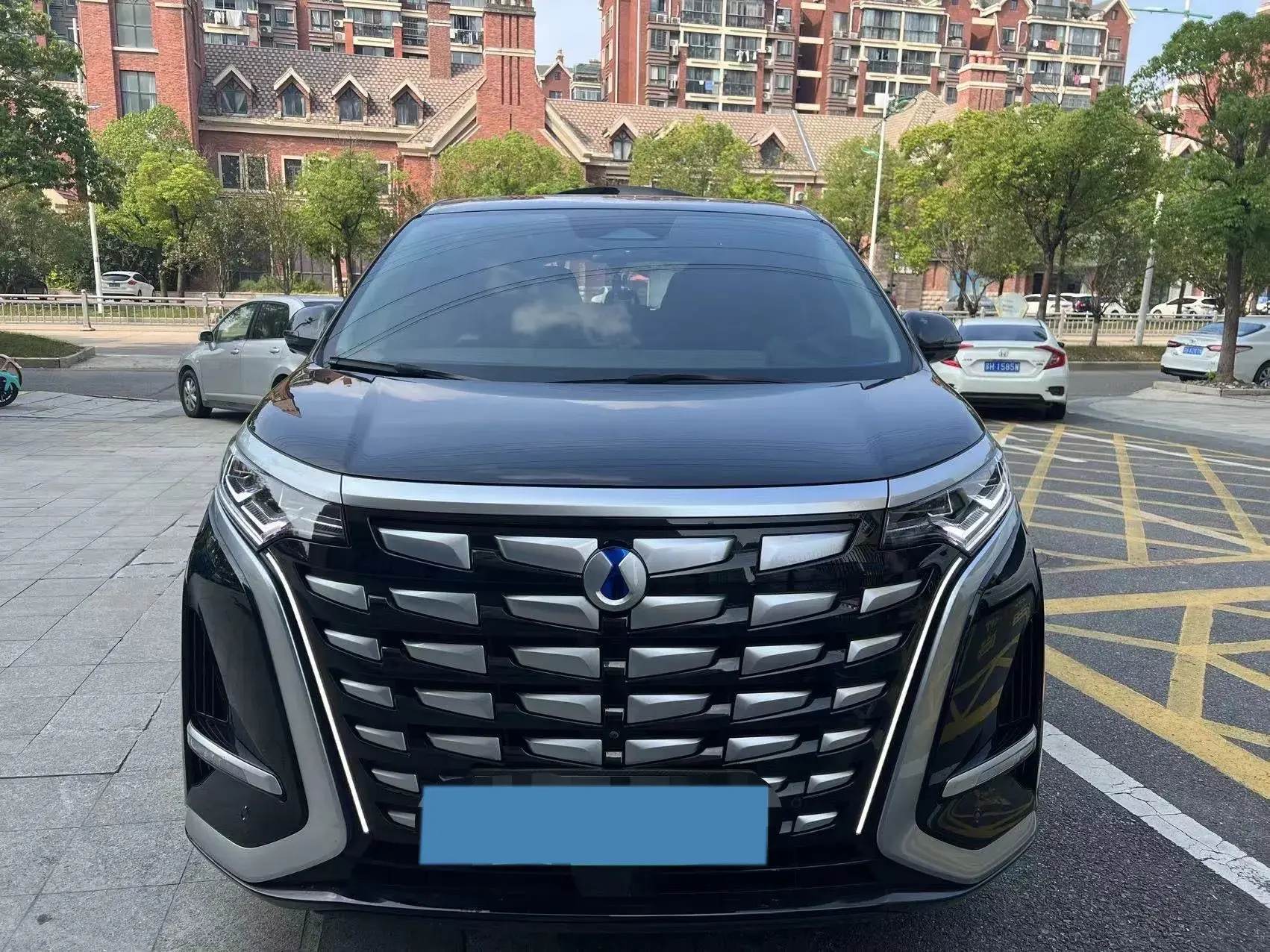 2022 DENZA D9 thumbnail 2