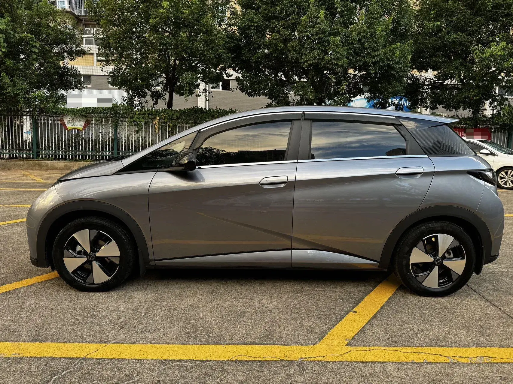 2023 BYD DOLPHIN thumbnail 4