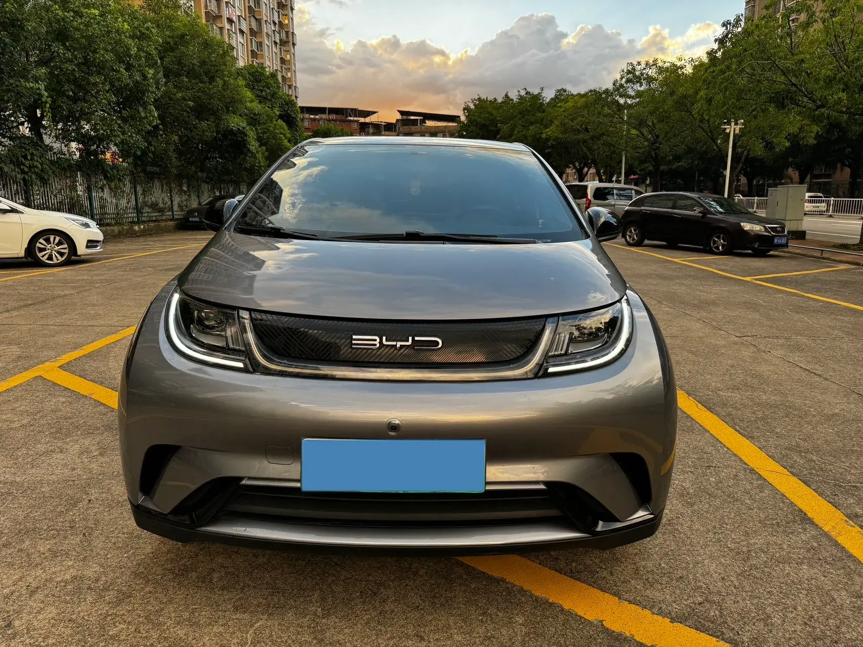 2023 BYD DOLPHIN thumbnail 2