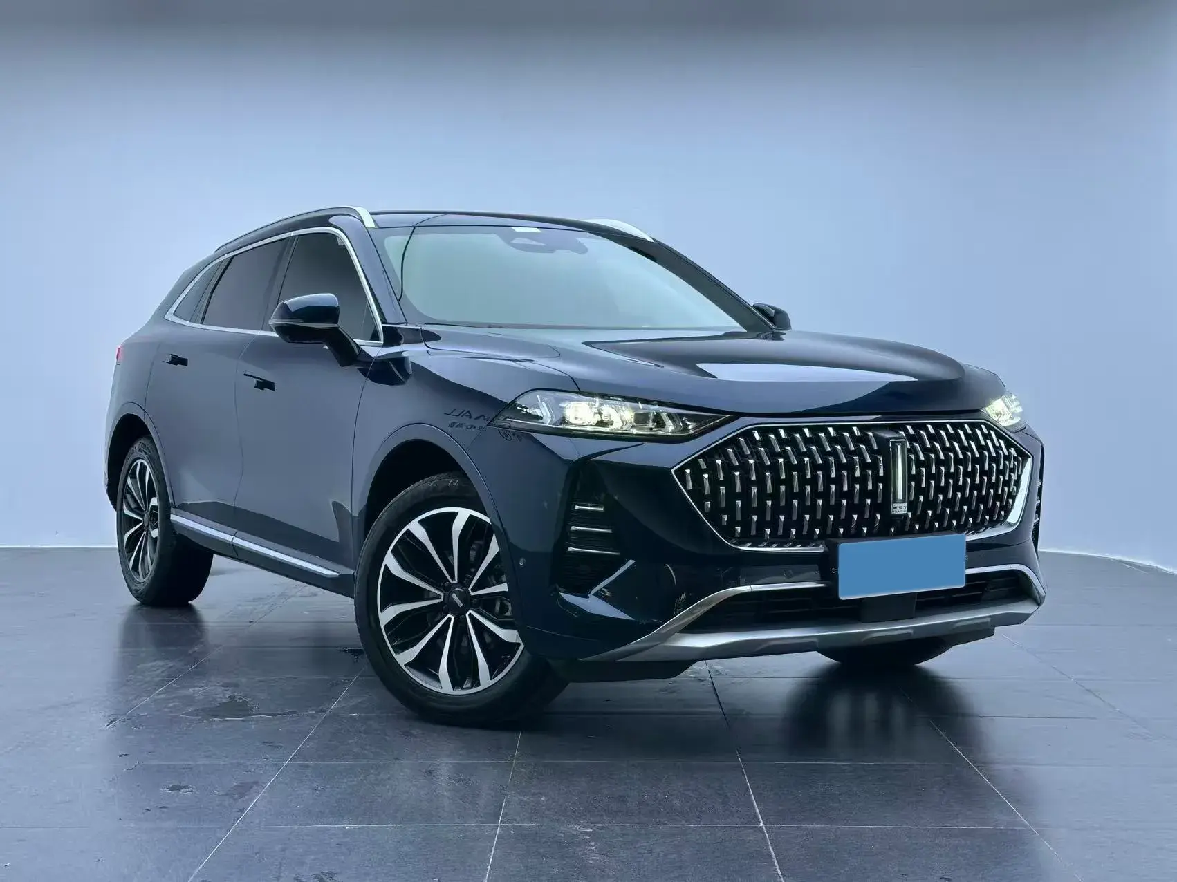 2021 WEY MOCHA thumbnail 3