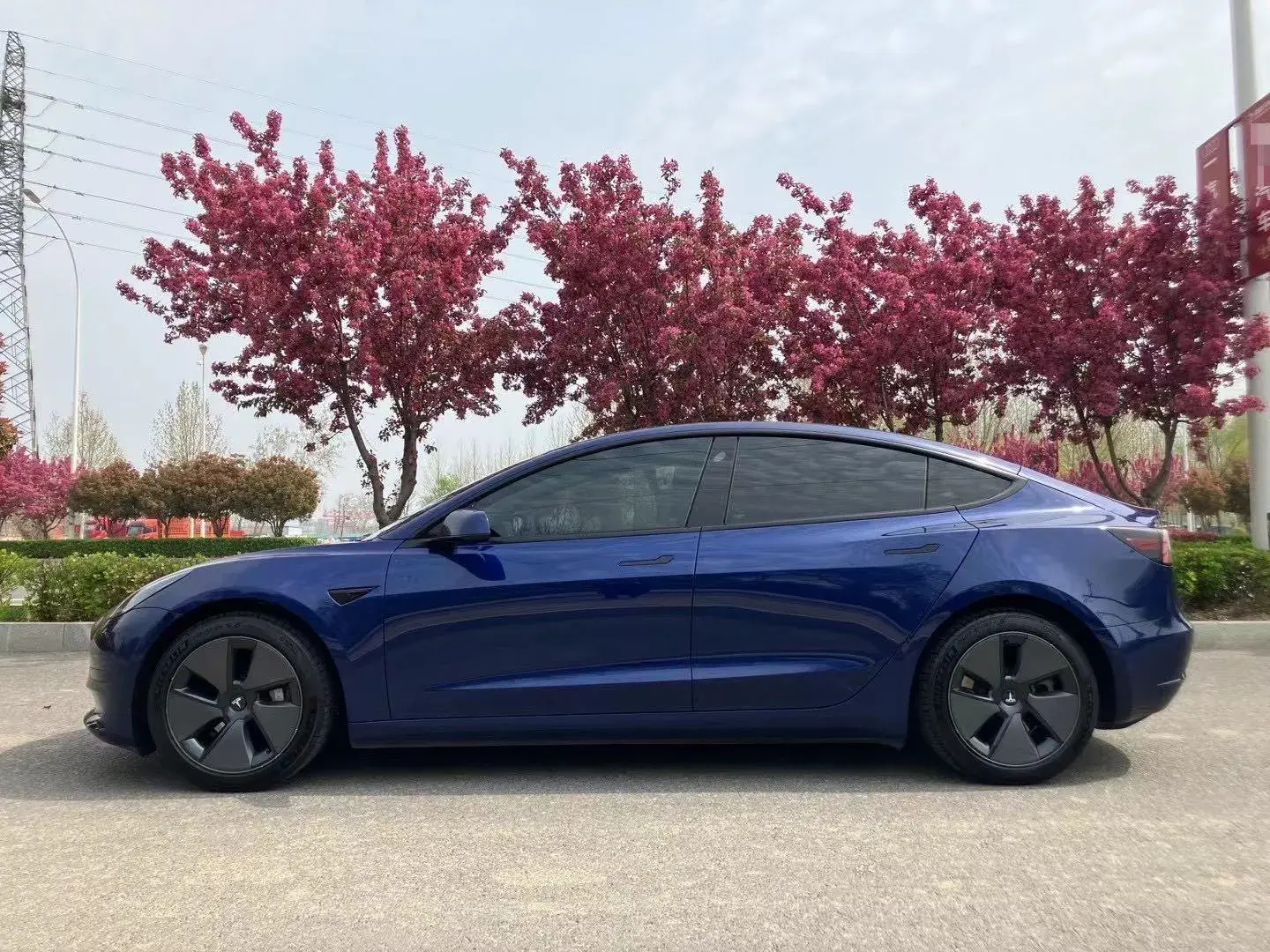 2021 TESLA MODEL thumbnail 4