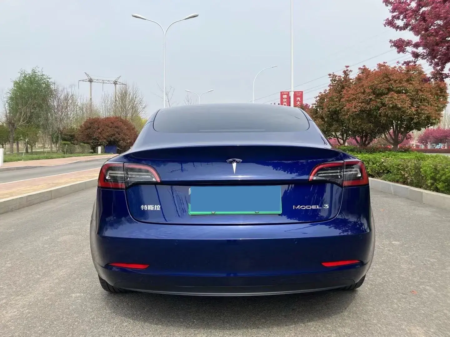 2021 TESLA MODEL thumbnail 3