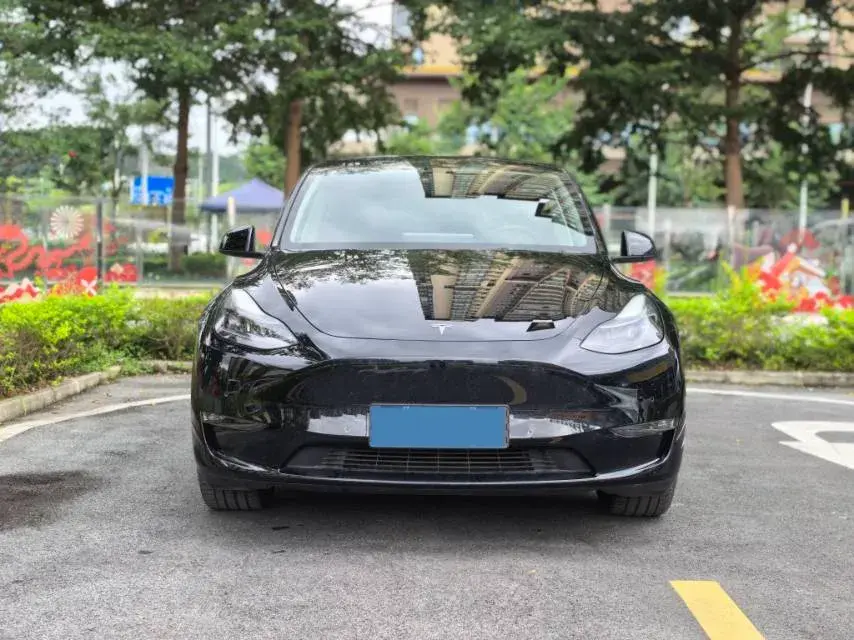 2021 TESLA MODEL thumbnail 4