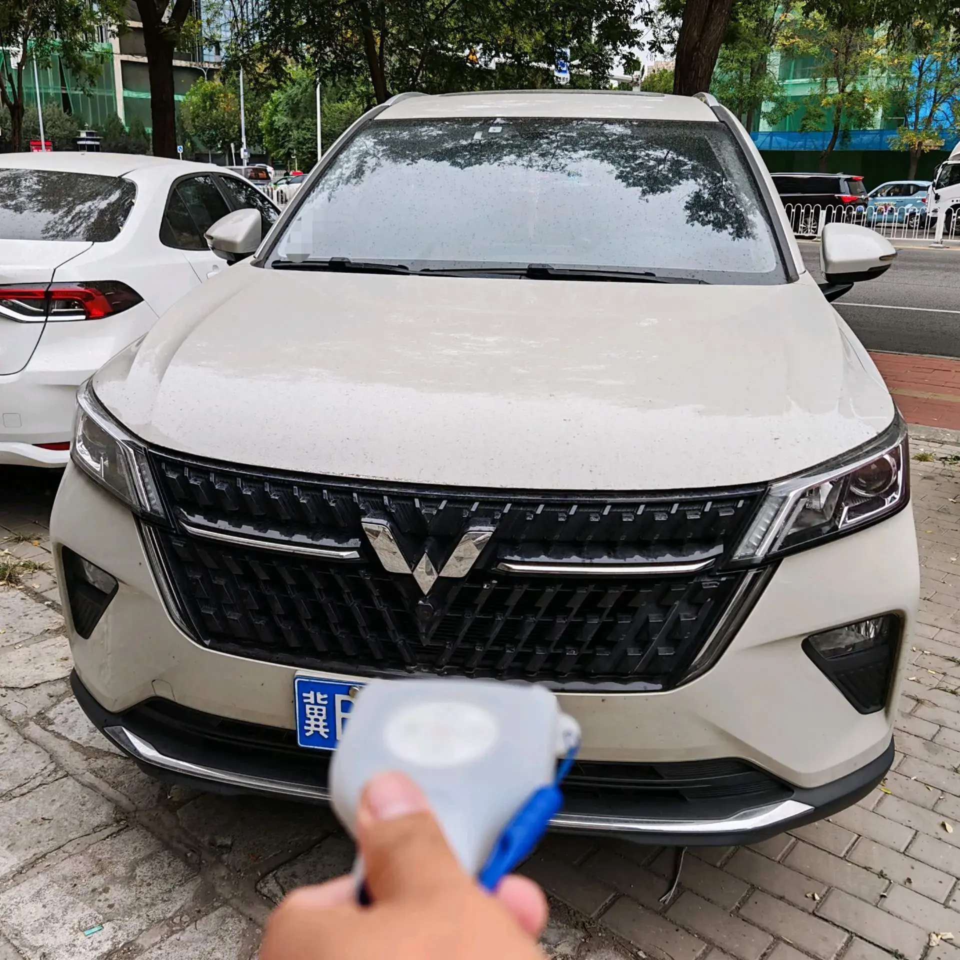 2020 WULING KAIJIE thumbnail 2