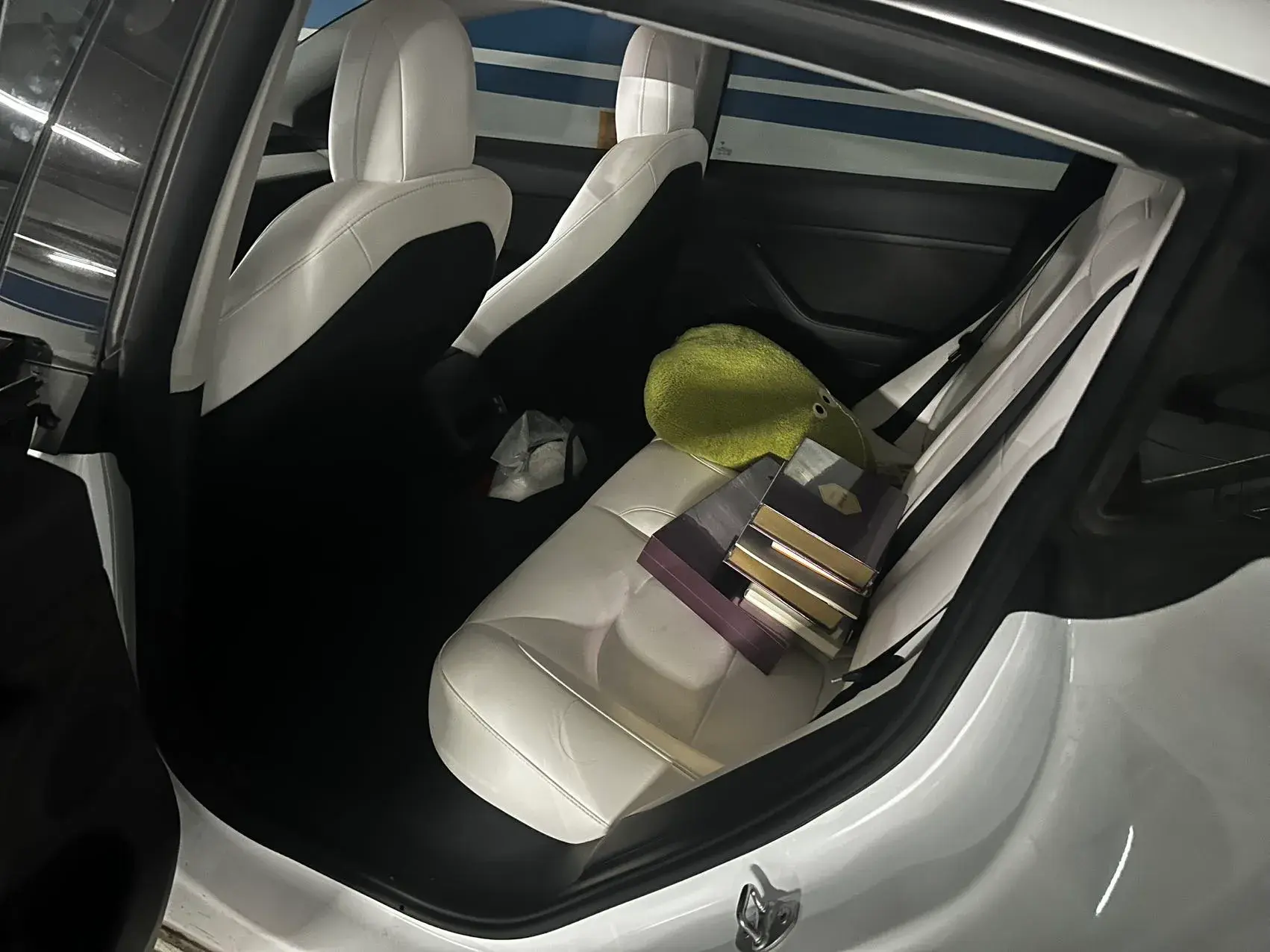 2021 TESLA MODEL thumbnail 4