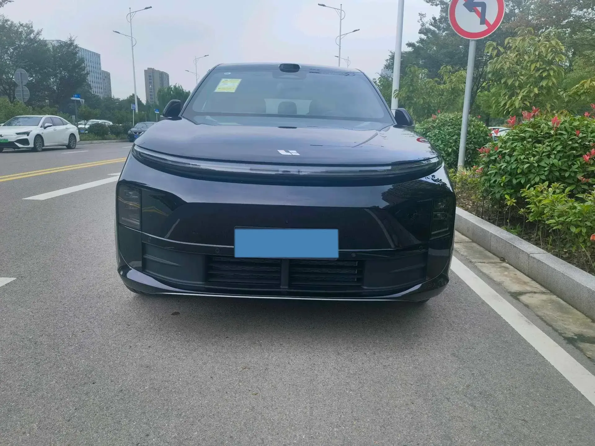 2025 LI L6 thumbnail 3