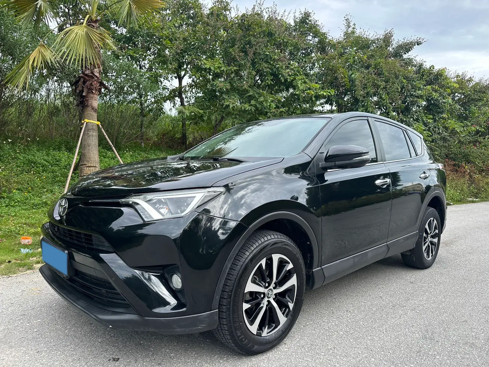 2019 TOYOTA RAV4 view 1