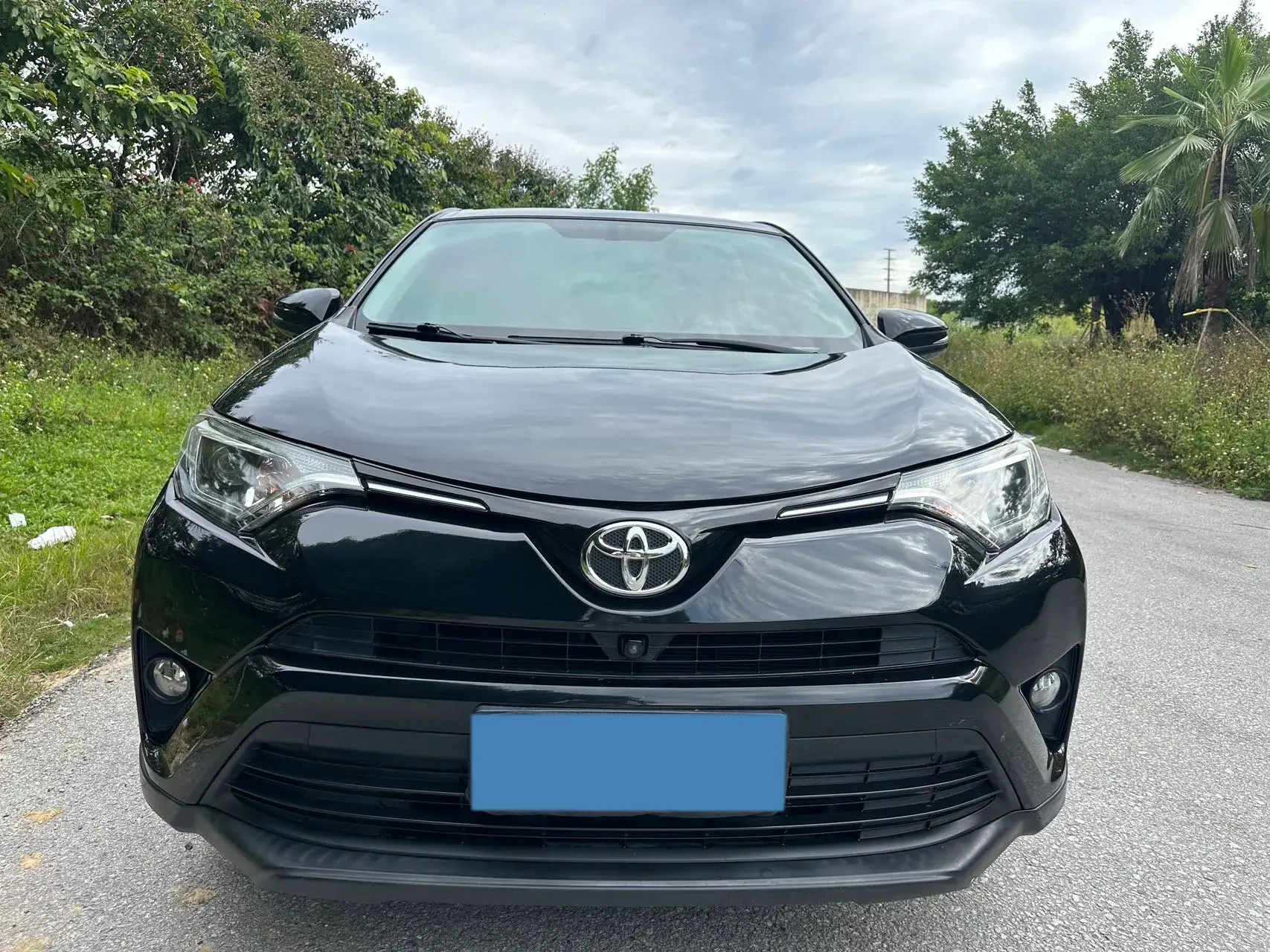 2019 TOYOTA RAV4 thumbnail 2