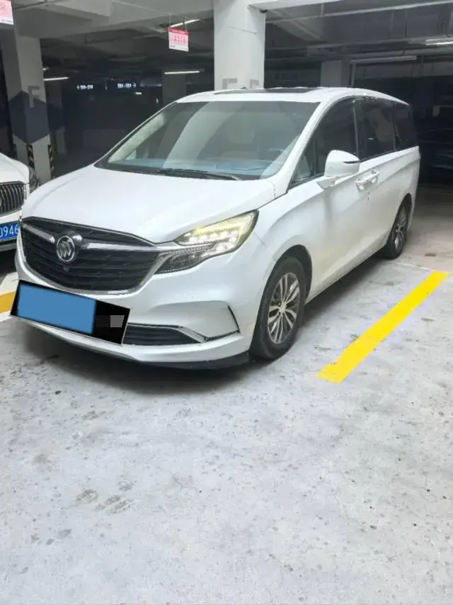 2020 BUICK GL8 view 1