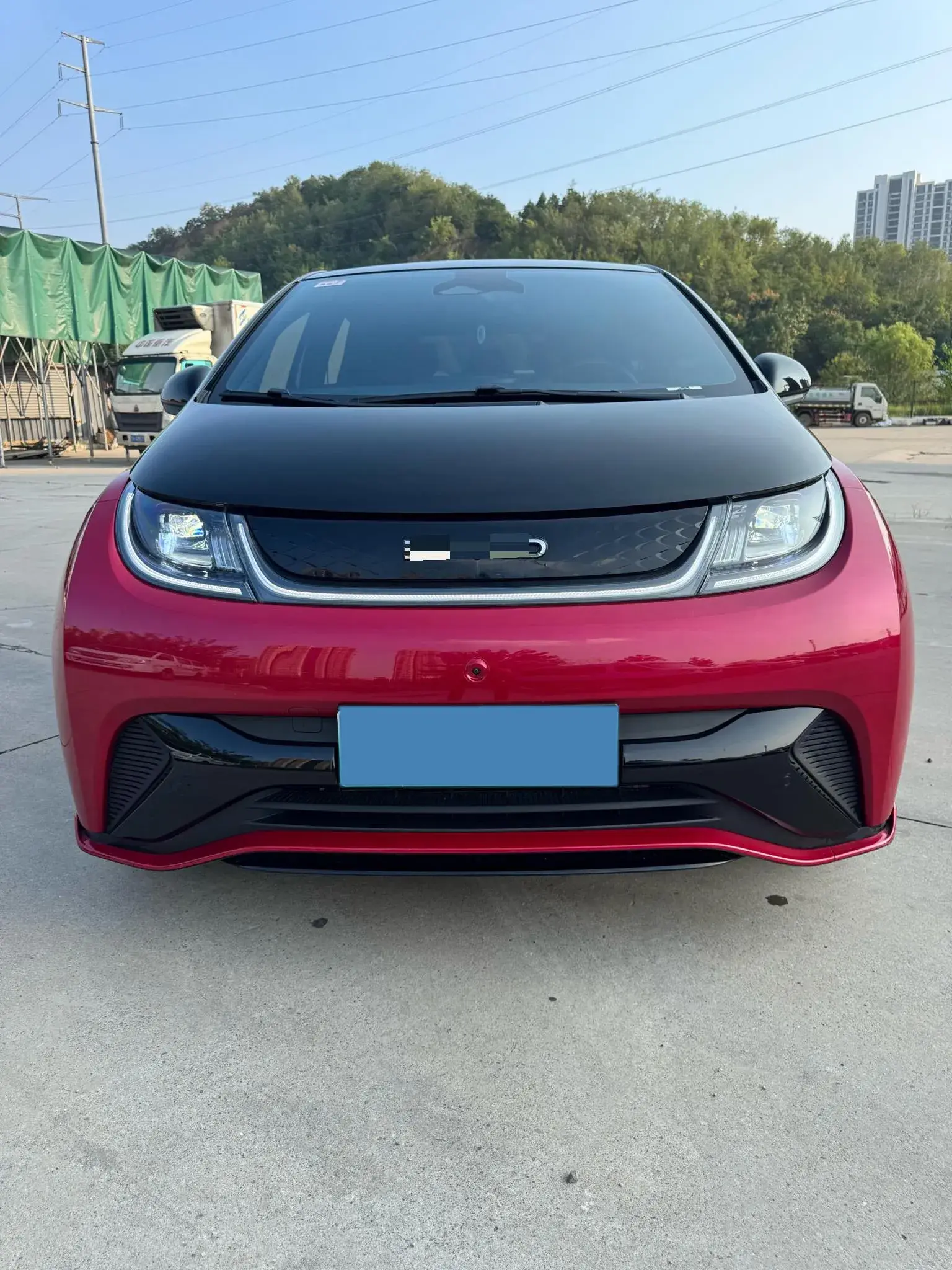 2023 BYD DOLPHIN thumbnail 2