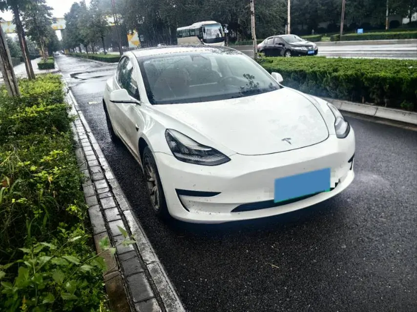 2019 TESLA MODEL thumbnail 3