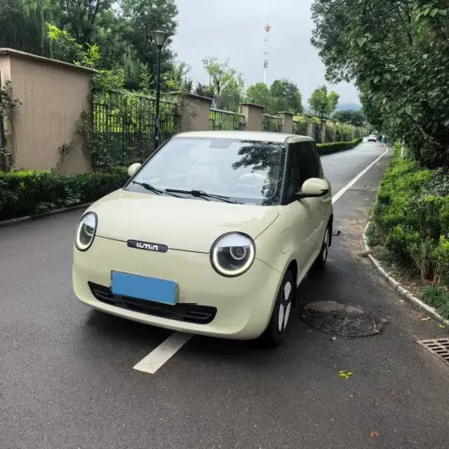 2022 ChangAn QiYuan Lumin BEV 17.65KWH