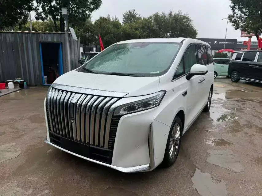 2024 HONGQI HQ9 view 1