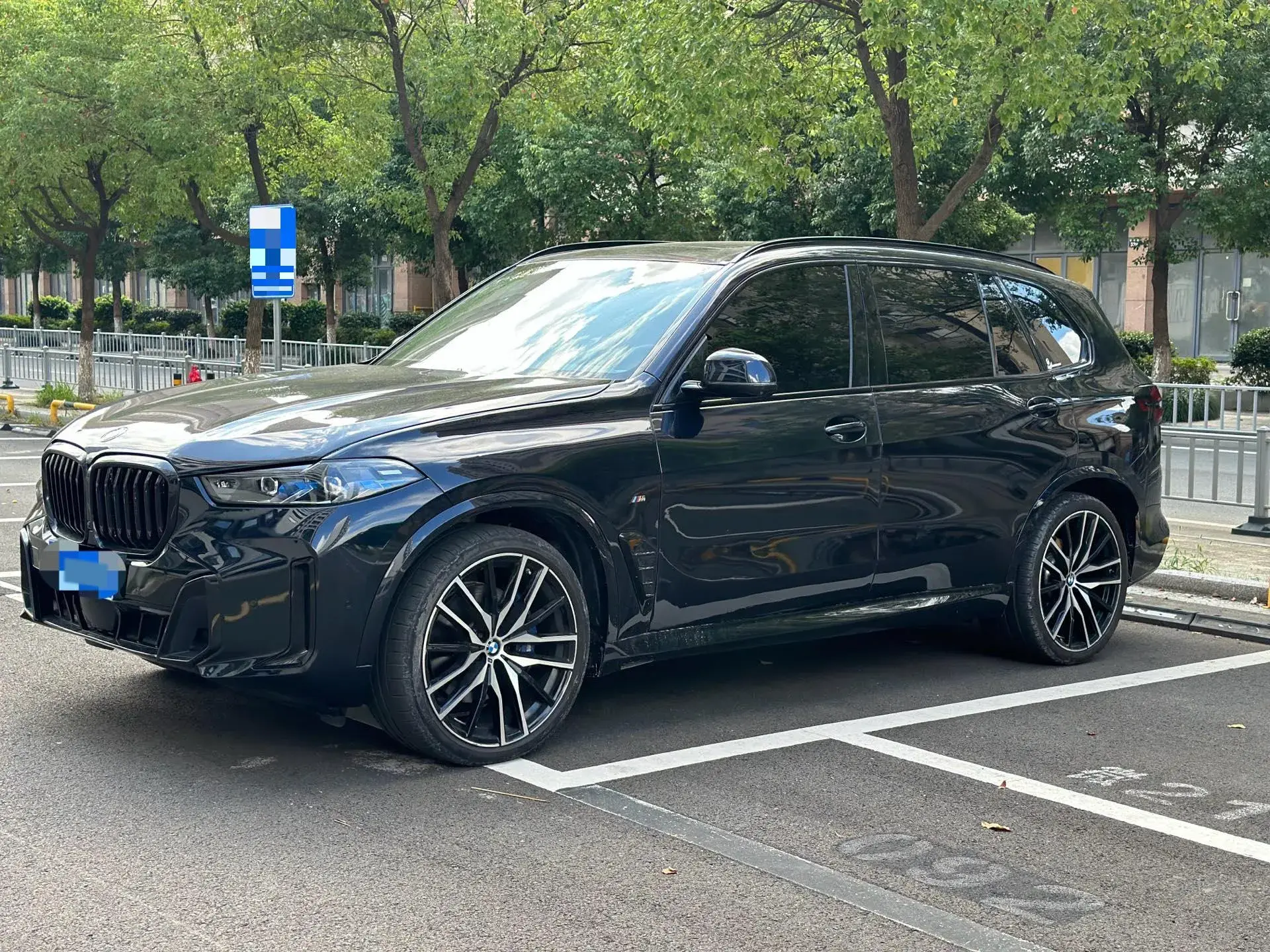2023 BMW X5 view 1