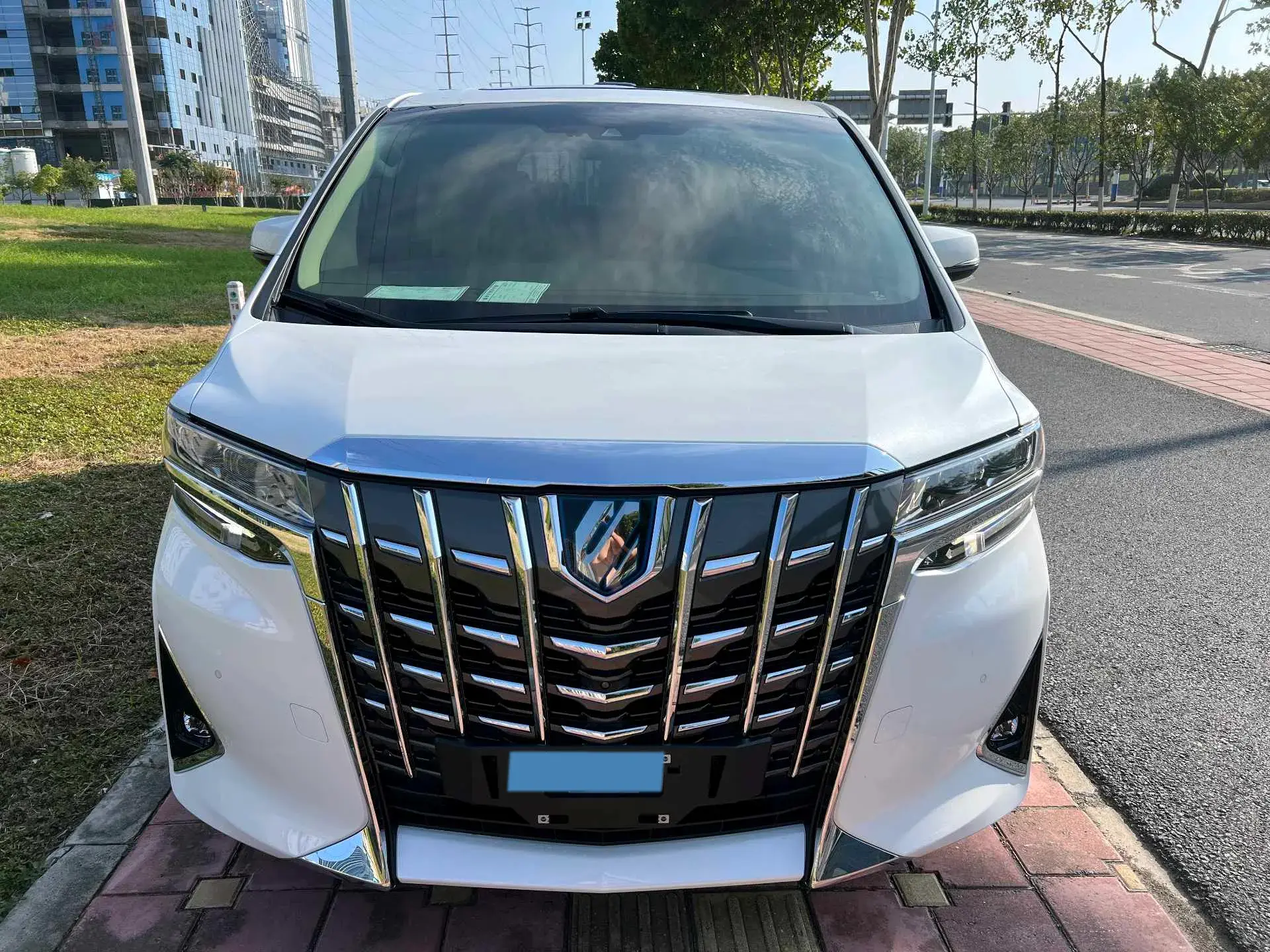 2020 TOYOTA ALPHARD thumbnail 2