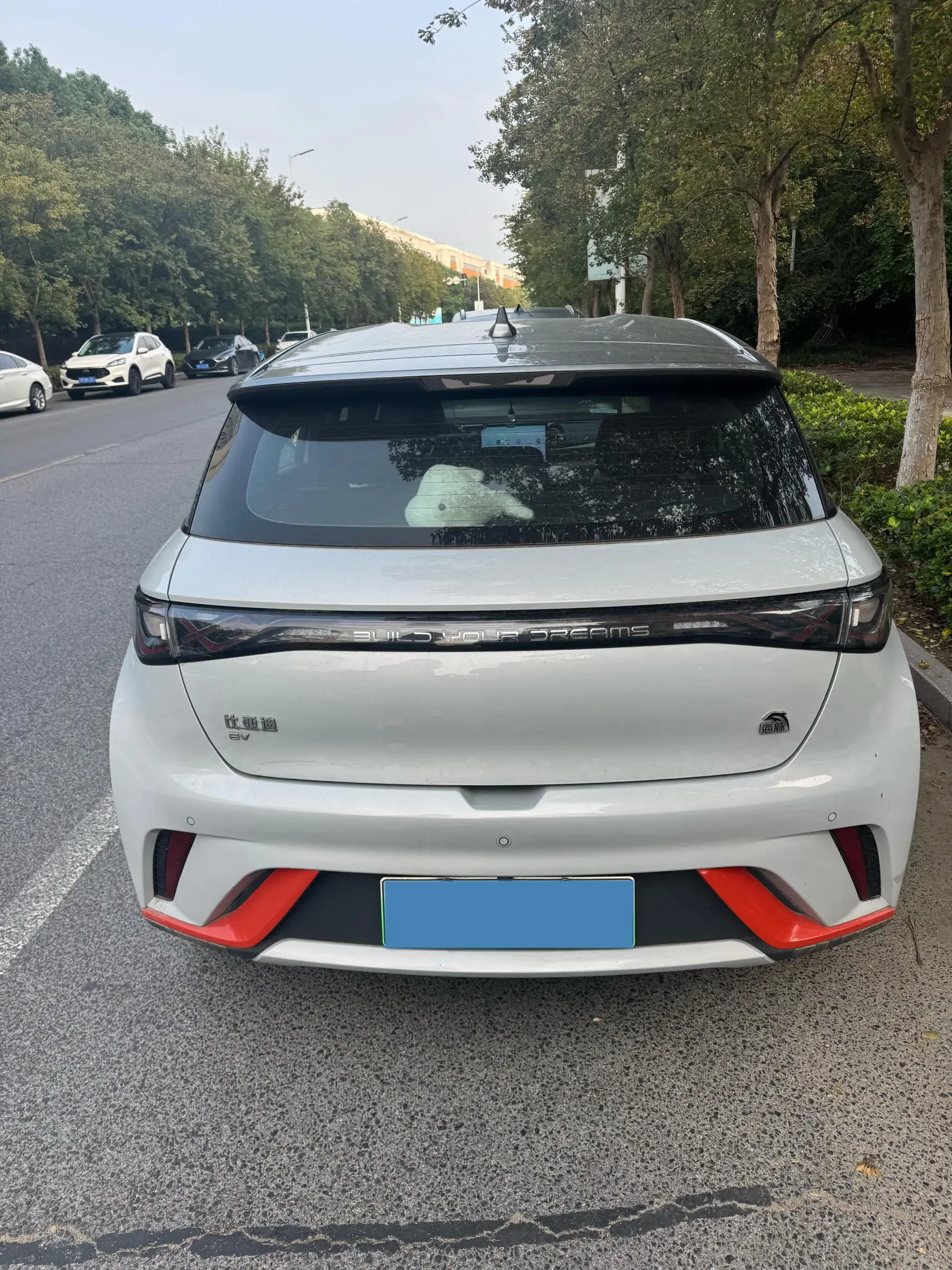 2021 BYD DOLPHIN thumbnail 2