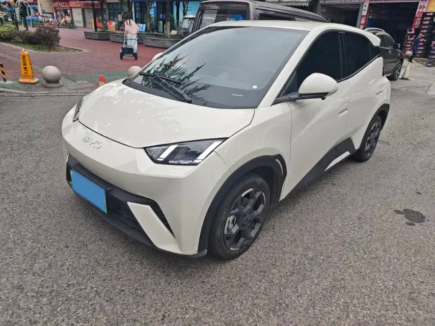 2025 BYD SEAGULL view 1