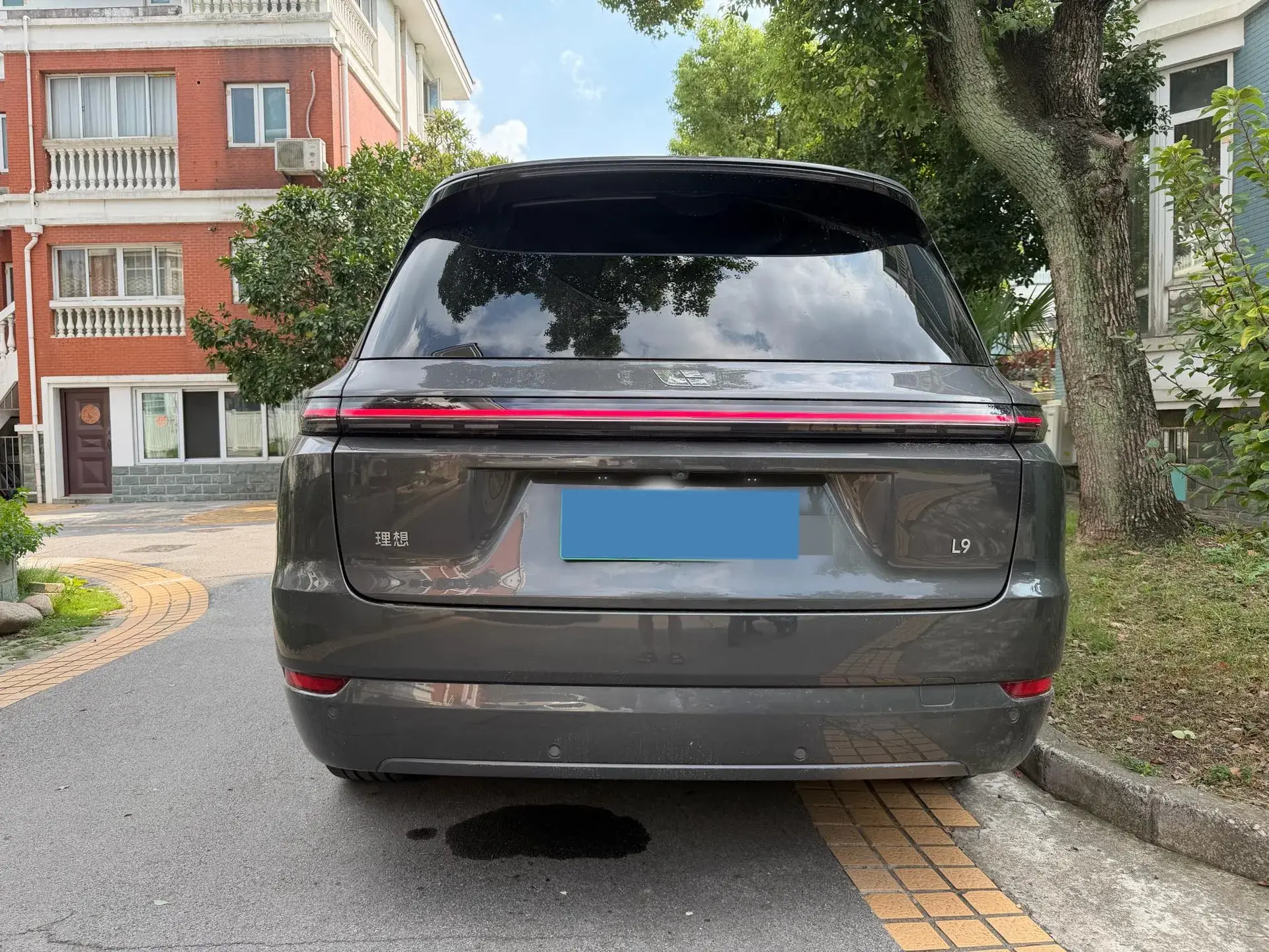 2022 LI L9 thumbnail 3