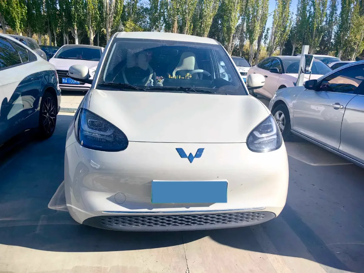 2024 WuLing BinGuo BEV 31.9KWH,autocango,china used car exporter,china ev exporter,chinese used car exporter,chinese used ev exporter