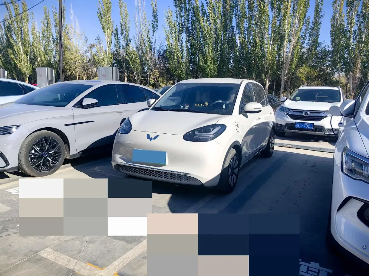 2024 WuLing BinGuo BEV 31.9KWH,autocango,china used car exporter,china ev exporter,chinese used car exporter,chinese used ev exporter