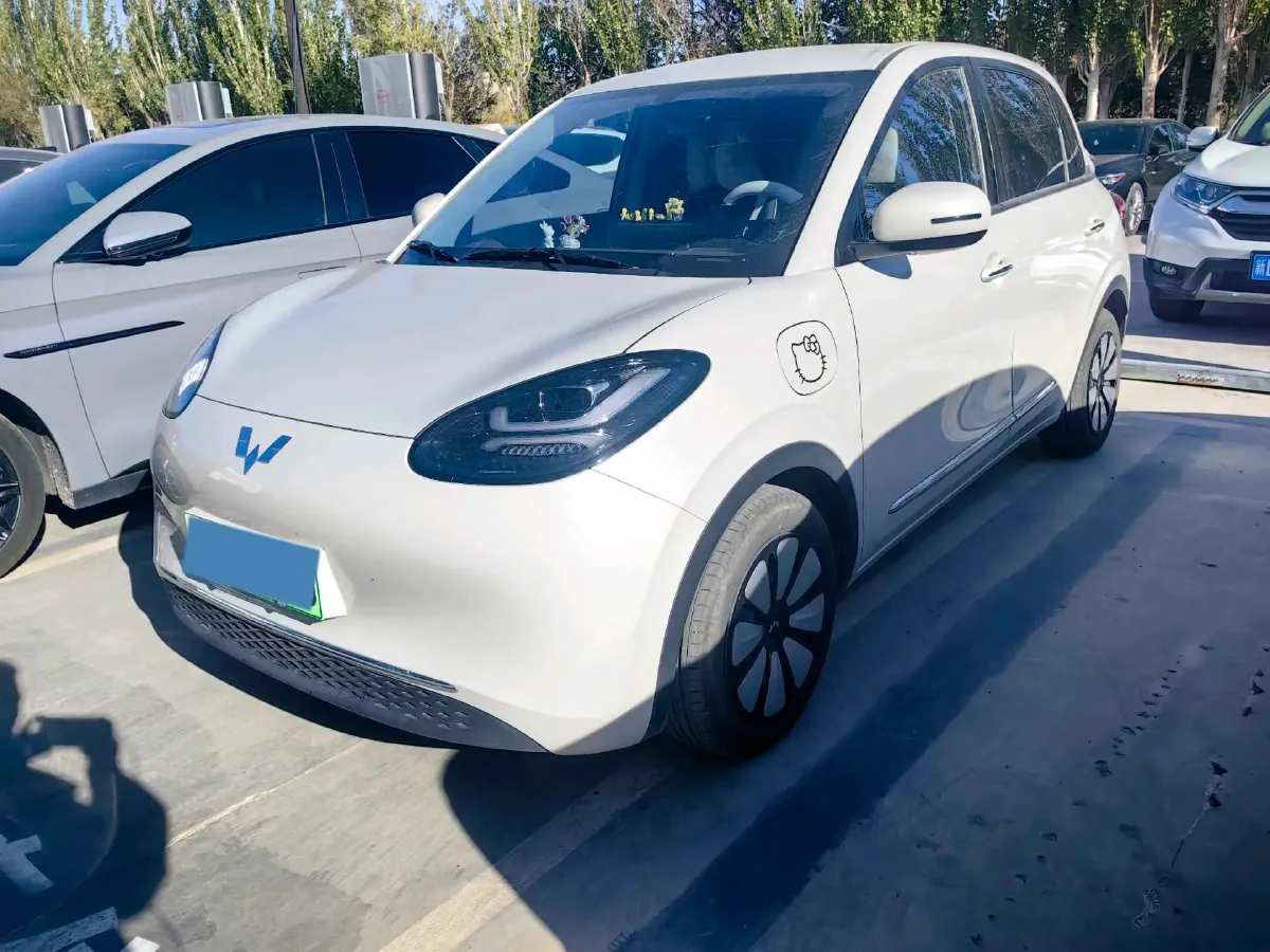 2024 WuLing BinGuo BEV 31.9KWH,autocango,china used car exporter,china ev exporter,chinese used car exporter,chinese used ev exporter