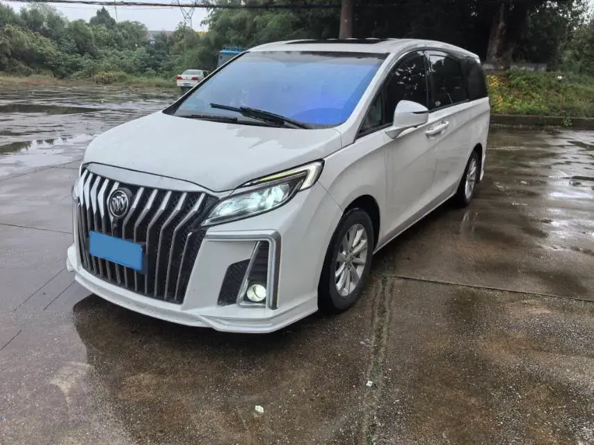 2018 BUICK GL8 view 1