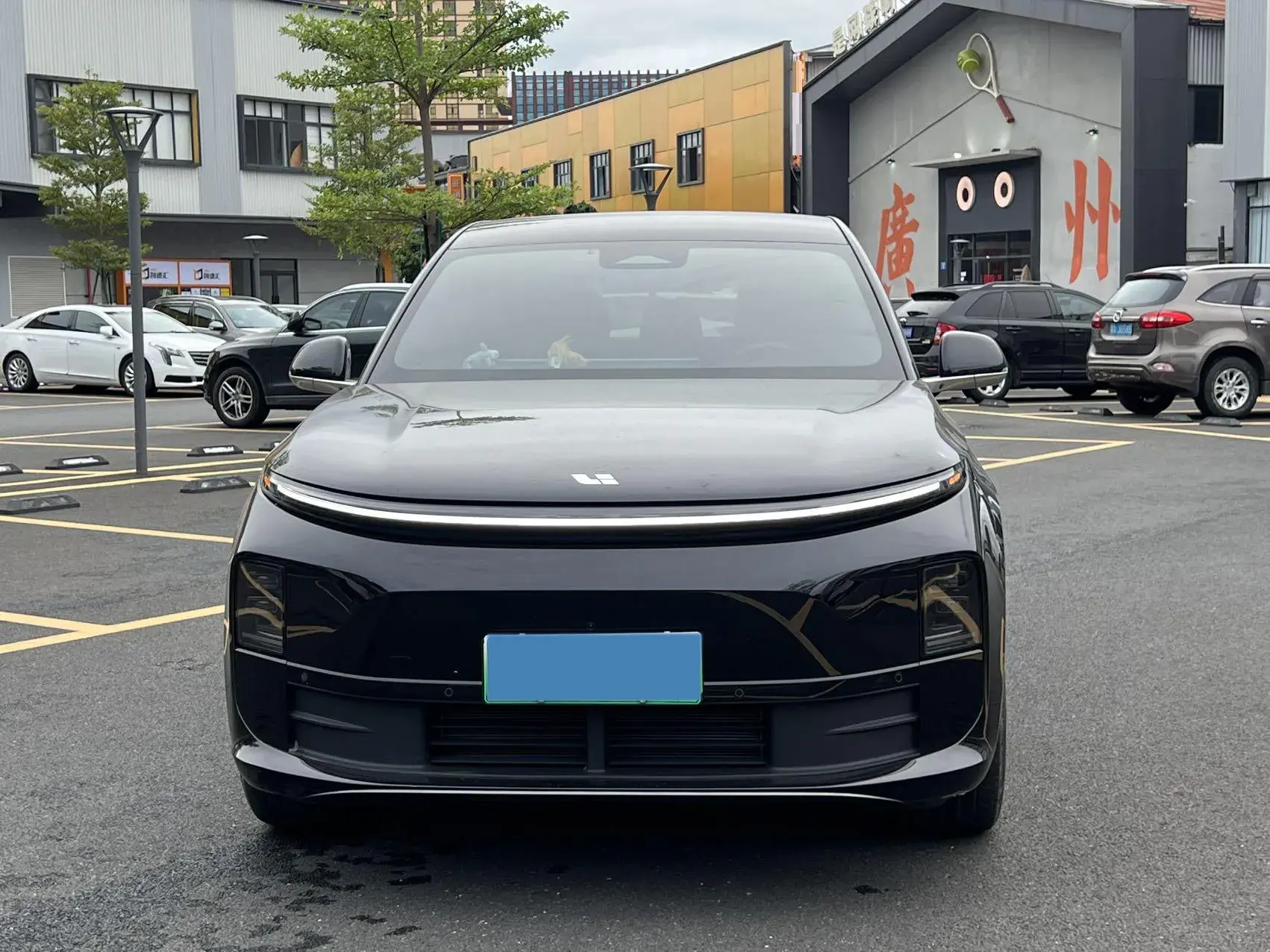 2024 LI L6 thumbnail 2