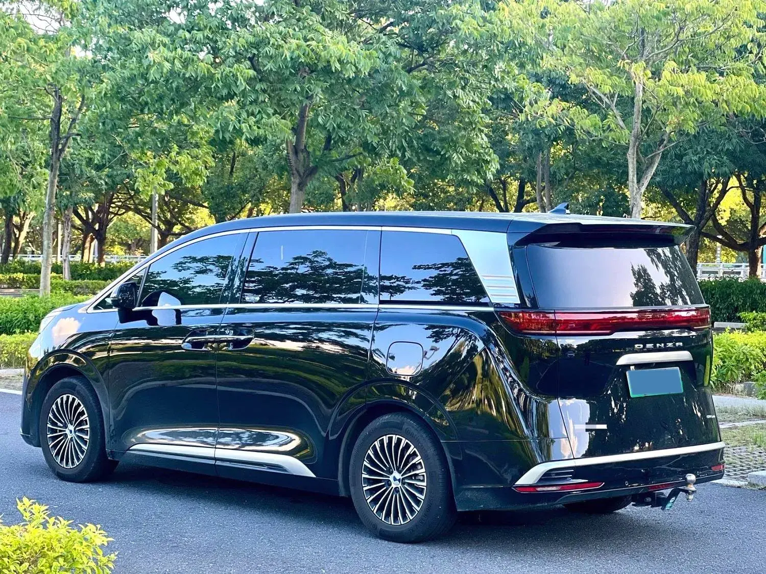 2024 DENZA D9 thumbnail 4