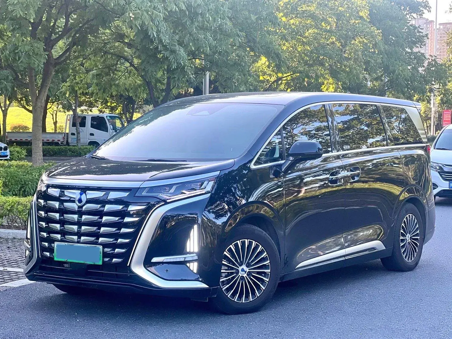 2024 DENZA D9 view 1