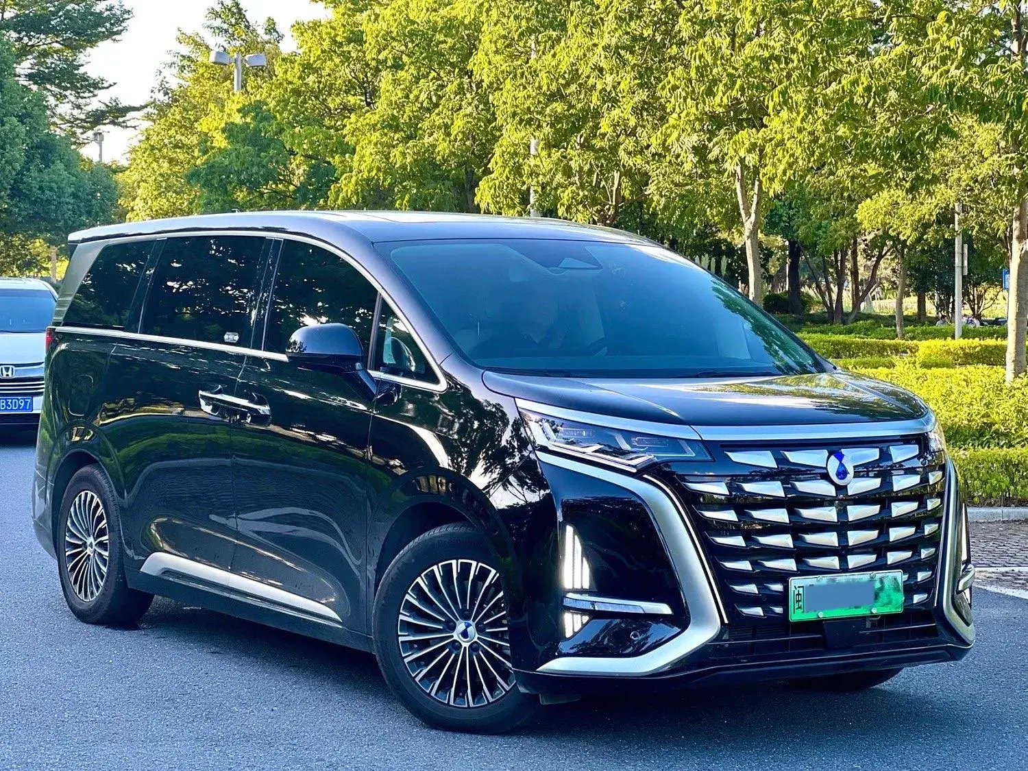 2024 DENZA D9 thumbnail 3