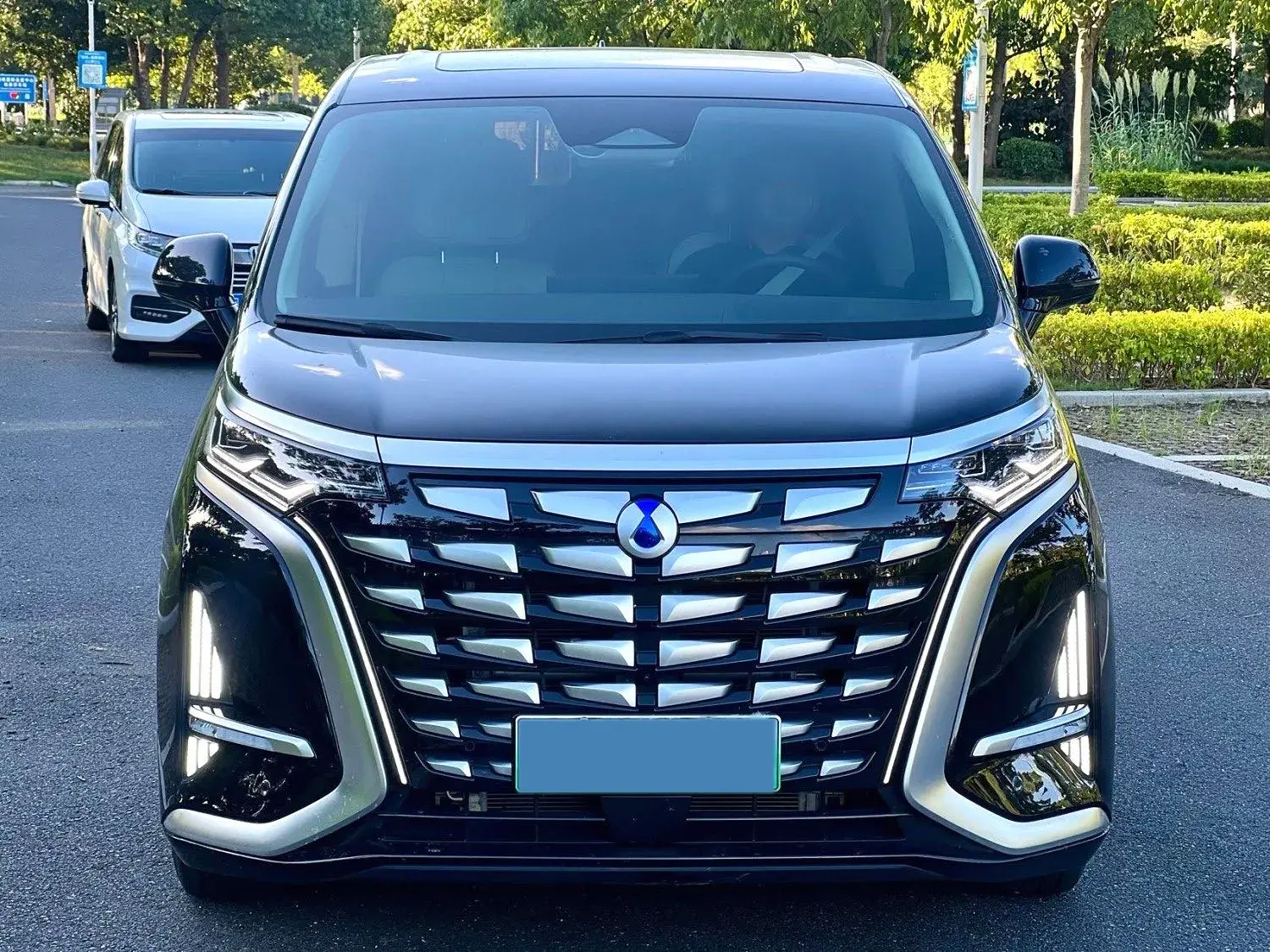 2024 DENZA D9 thumbnail 2