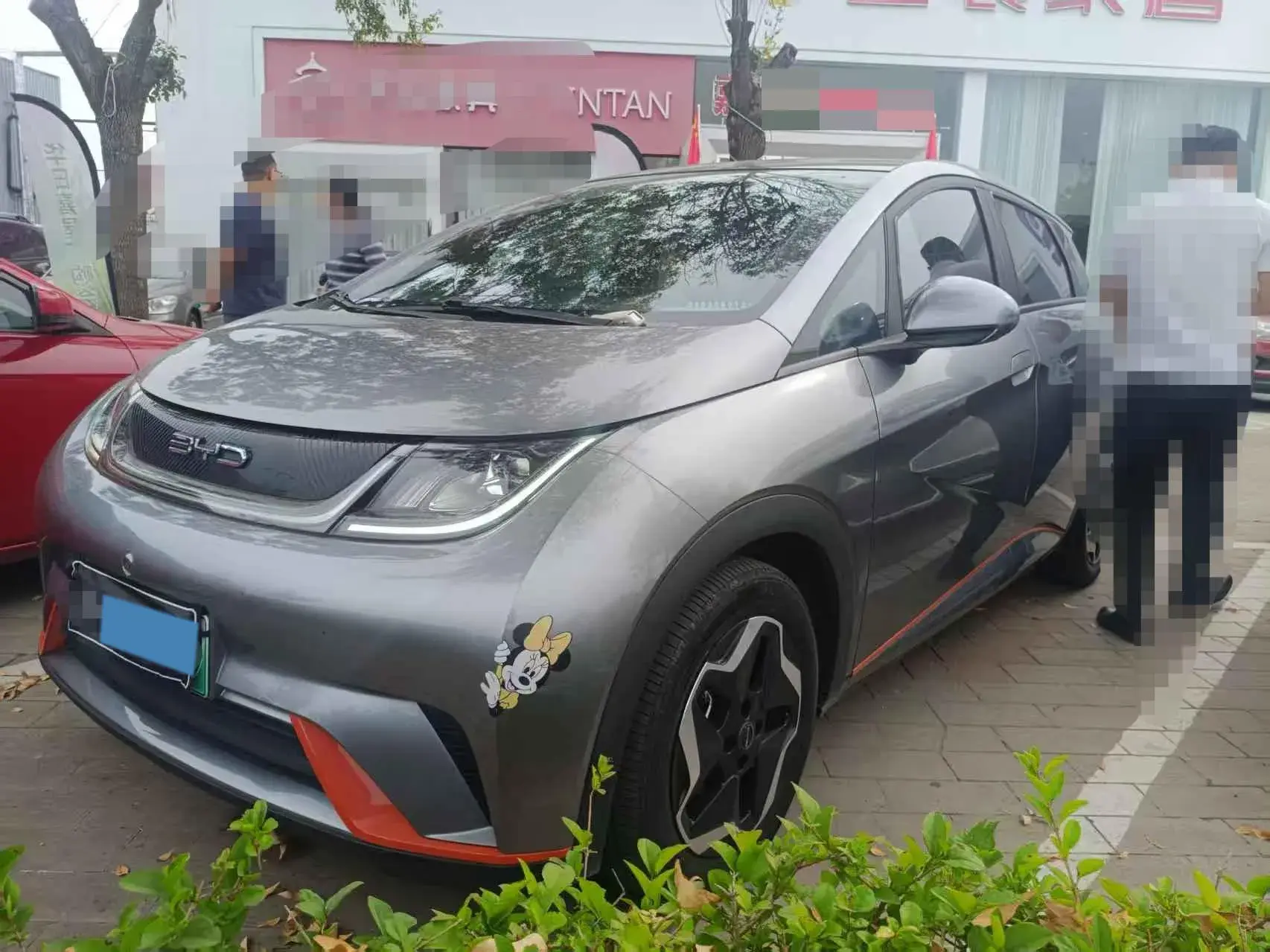 2021 BYD DOLPHIN view 1