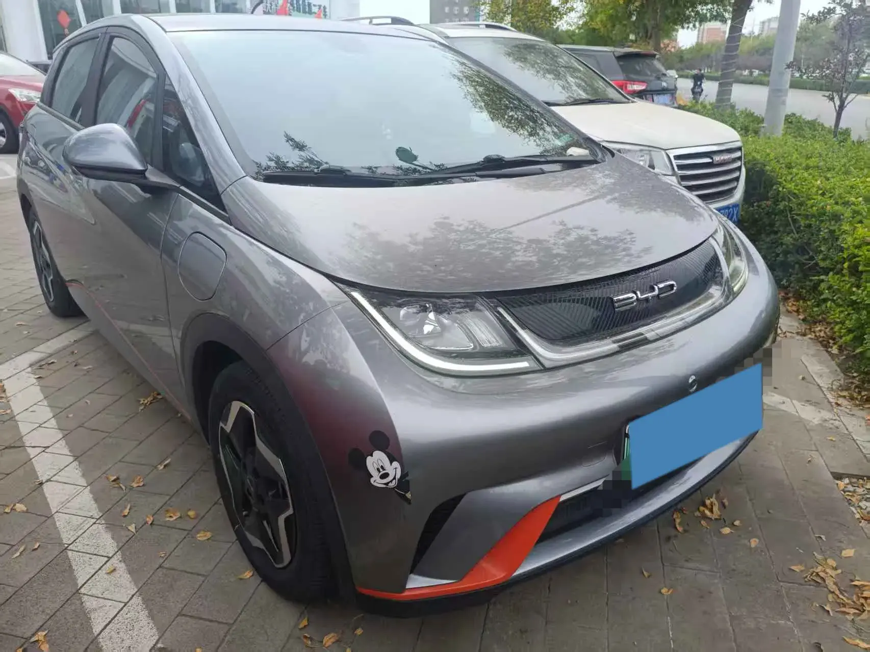 2021 BYD DOLPHIN thumbnail 2