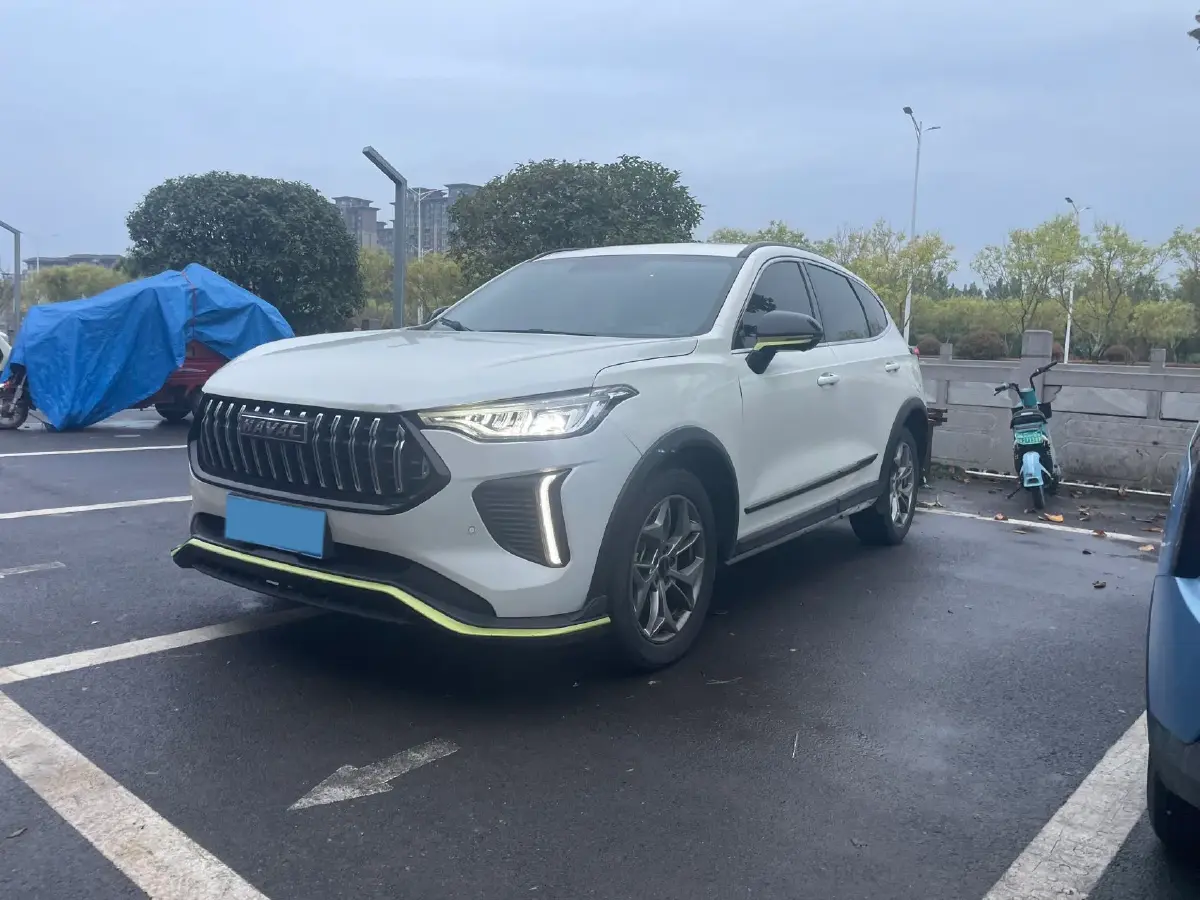2022 Haval Rabbit 1.5T 150HP L4 7DCT