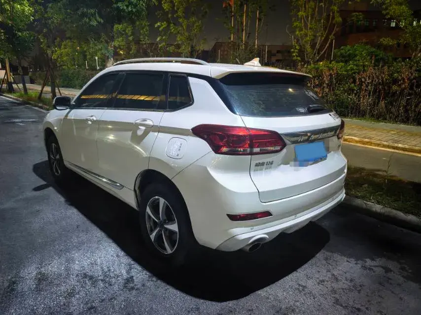 2019 HAVAL H6 thumbnail 4
