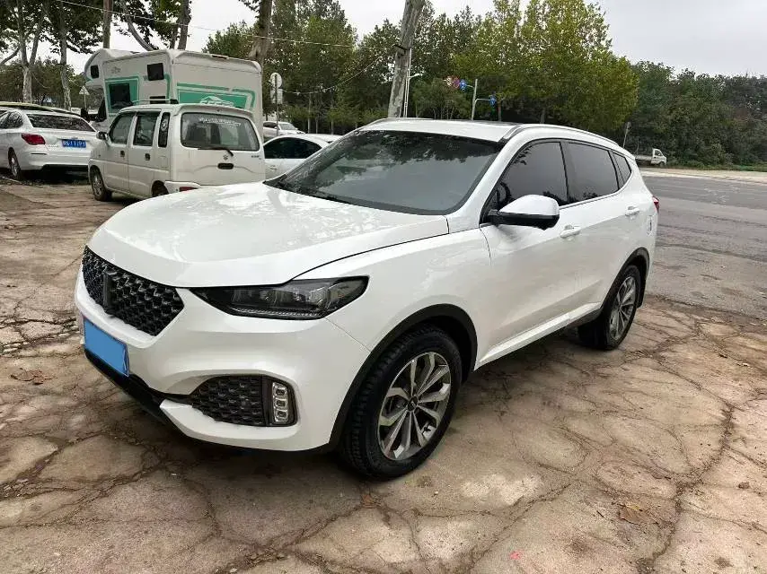 2020 WEY VV6 view 1