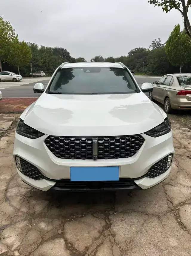 2020 WEY VV6 thumbnail 4