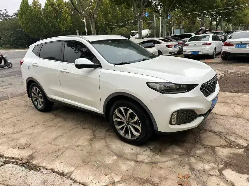 2020 WEY VV6 thumbnail 3