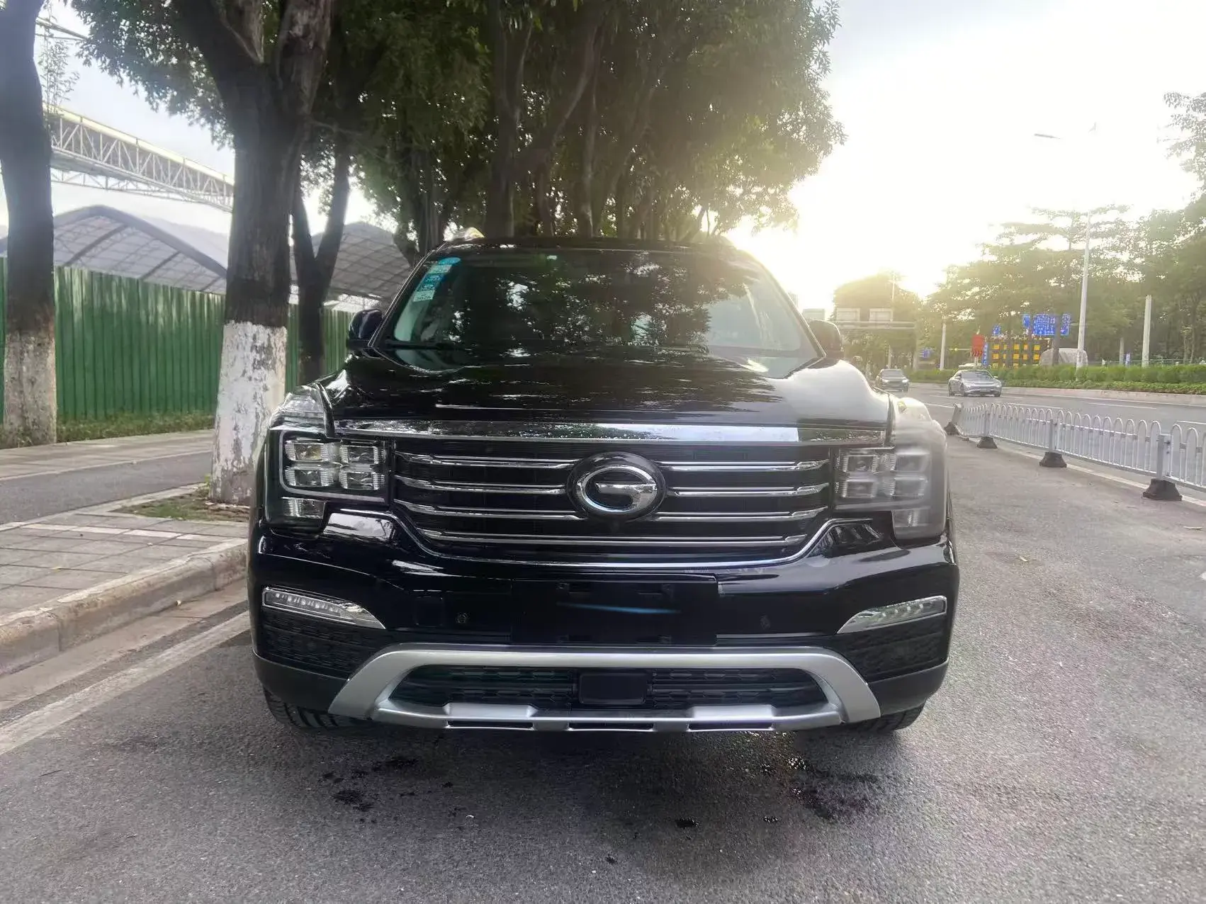 2017 GAC TRUMPCHI thumbnail 3