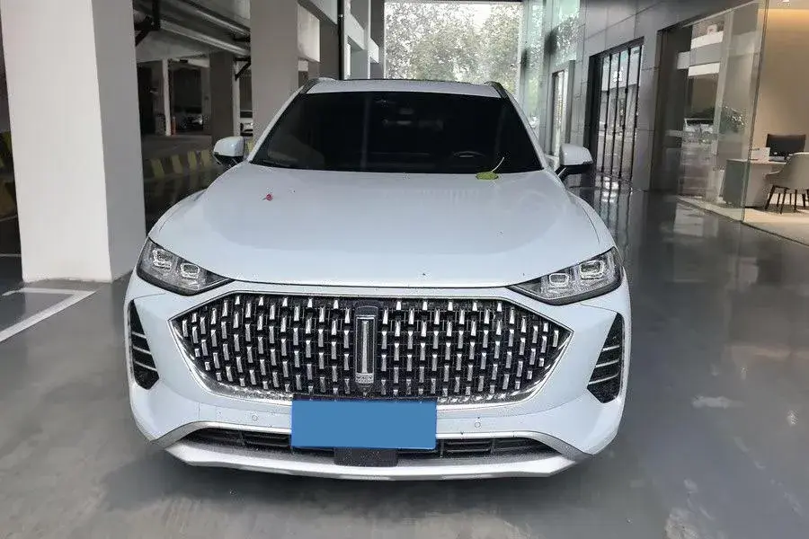 2021 WEY MOCHA thumbnail 2